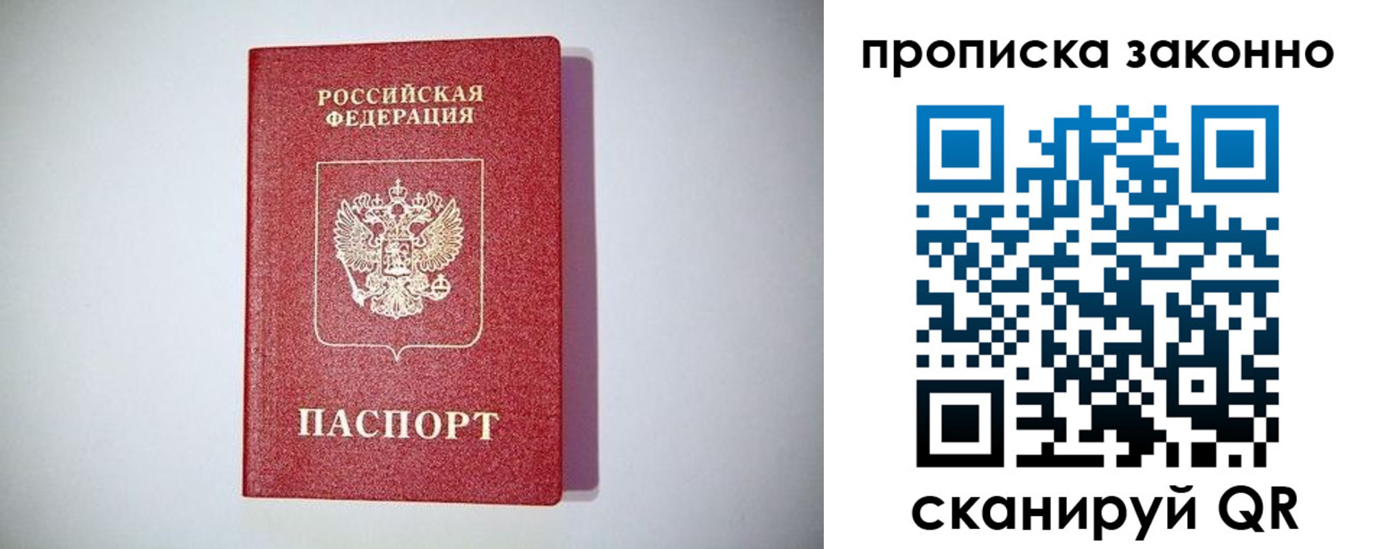 прописка от собственника в Елизово