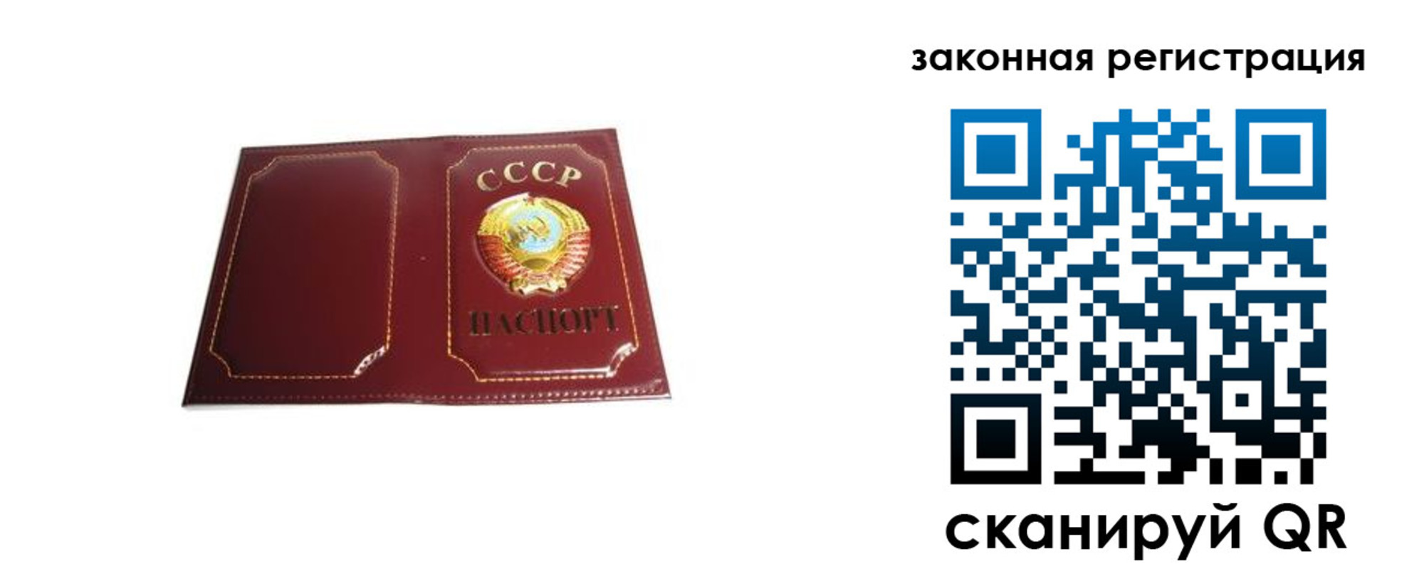 прописка поиск в Елизово